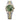 Rolex Datejust 36mm 126233-0025 Yellow Gold, Olive Green Roman with VI and IX Diamonds  Dial, Worn 2025