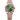 Rolex Day-Date 40mm 228235-0025 Oliver Green Dial, Unworn 2024
