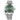 Rolex 126300 Datejust 41mm  Smoth Bezel ,Green Dial, 2023