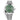 Rolex 126300  Datejust Motif Green Dial , Smooth Bezel 41mm 2023 Unworn
